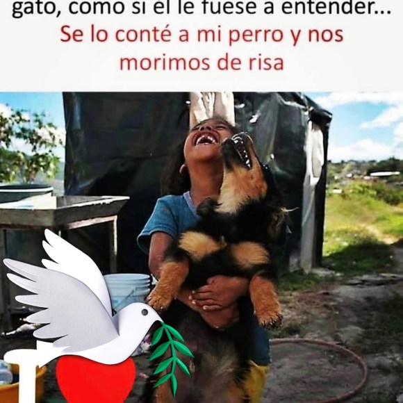 ray_quintero